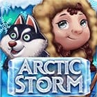 Arctic Storm game cover