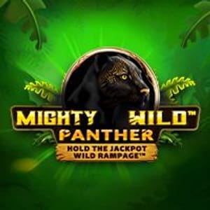 Mighty Wild Panther game cover